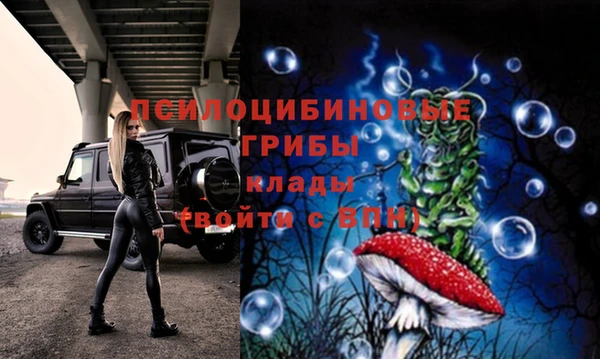 амф Баксан
