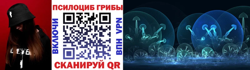 Купить закладки Десногорск Псилоцибиновые грибы Magic Shrooms